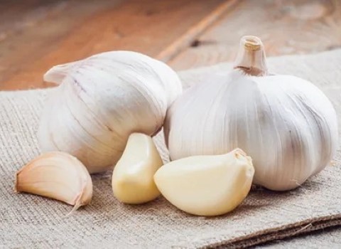 تصویر 3 از خرید و فروش سیر سفید بی بو با شرایط فوق العاده